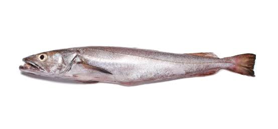 Panla Hake
